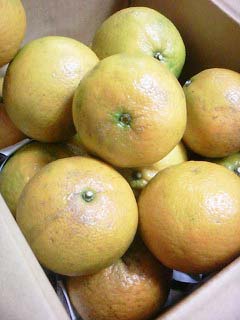 宜野座知名陶房。