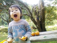 名護八重岳。