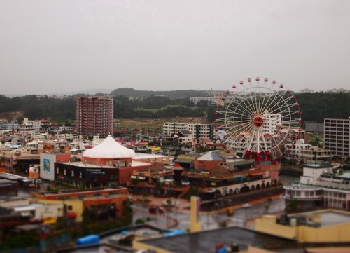 便乗沖縄旅行。