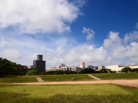 慰霊の日。
