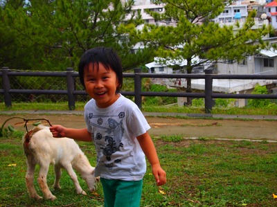 大石森公園のやぎちゃん。