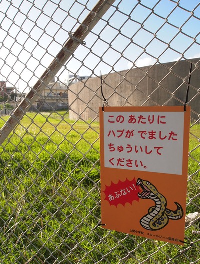ラジオ体操とハブ。
