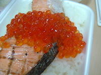 豪華昼食。