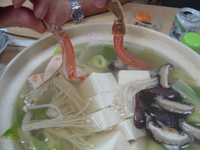 生ずわい蟹。