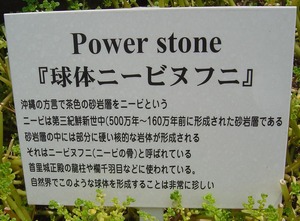 不思議なまんまる石。