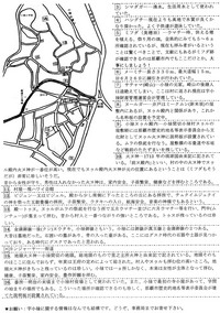 グーマーイーNo.2