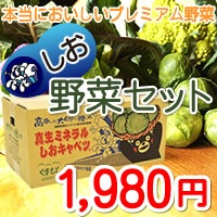 しお野菜5品目！プレミアム野菜のセット