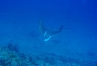 糸満の海！最高☆ 2010/12/11 18:42:20