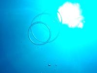 バブルリング☆ 2010/11/14 21:56:33