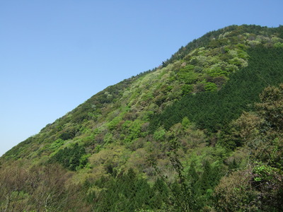 和泉葛城山ドライブに行こう！