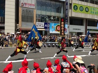 新宿エイサー祭り 2014/07/28 09:57:52