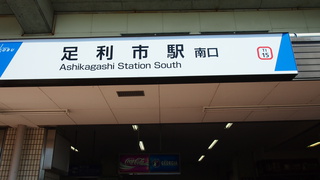 あしかがフラワーパークに行ったが？