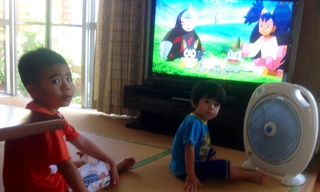孫、3兄弟の夏休みは