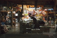 『ぱぴる文庫』の新しい取扱店です 2009/03/03 09:04:09