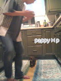 2009年7月5日生まれ／pちゃん 2009/09/19 08:35:16