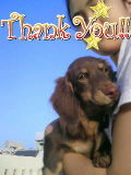 青空と犬 2009/10/19 10:14:28