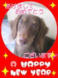 あけましておめでとうございます☆ 2010/01/01 12:30:00