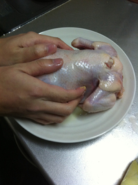 ダーリン、鳥にマッサージ 2011/12/26 18:10:08