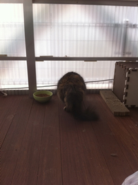 森に思いを馳せる 2012/04/08 15:03:51