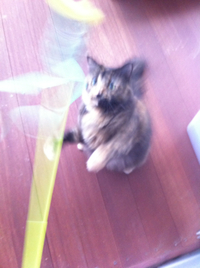 じっくり考えたい… 2012/04/28 12:04:15