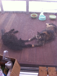 お手々つないで♪