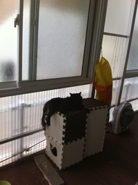 忘れてた(T_T)