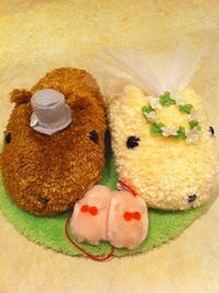 結婚記念日 2012/07/16 12:08:00