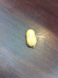 当たり？ 2012/07/13 17:56:07