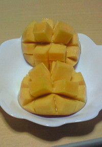 高知育ちです(*^ □^*) 2009/05/29 12:41:08