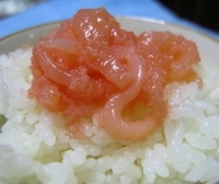 いかめん(*ﾟ▽ﾟ)ﾉ 2009/01/30 21:15:28