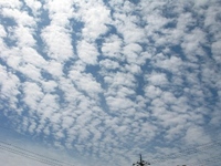 仲間由紀恵とウリ坊(*ﾟ▽ﾟ)ﾉ 2009/04/05 12:56:50