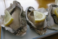 浜辺の焼き牡蠣(*ﾟ▽ﾟ)ﾉ 2009/06/14 21:51:15