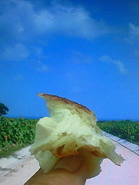 オン寝(・・;) 2009/06/23 02:49:43