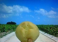 ひまわりとカマンベール♪ 2009/05/27 22:35:34