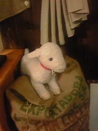 子やぎ店長(*^ □^*) 2009/06/16 22:08:08