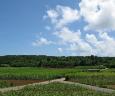 ななめ４５℃