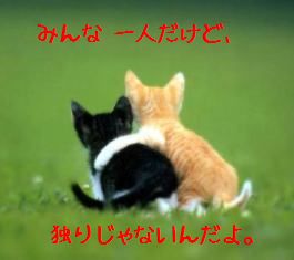同胞