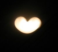こんな時に(｡＞0＜｡) 2009/03/12 22:22:26