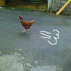 Whats wrong?( ･_･)(･_･ )