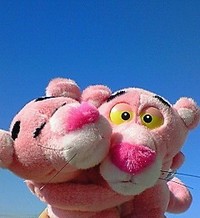 初心に返る(*ﾟ▽ﾟ)ﾉ 2009/03/17 12:07:03
