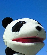 北京オリンピック名言集：*：ﾟ･☆