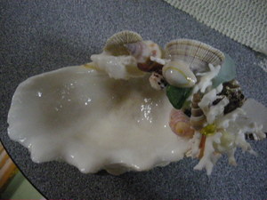 貝細工From Sea