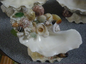 貝細工From Sea