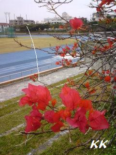 散歩。。。♪