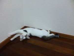 夏休みのメニュー②