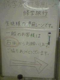 修学旅行専用の