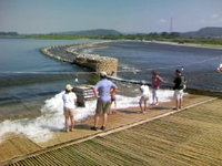 夏休み 2007/08/15 09:39:32