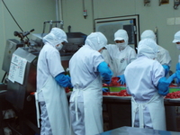 工場見学 2011/10/22 05:25:44