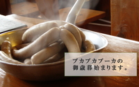 2011年お歳暮受け付け始ります。 2011/11/15 10:15:17