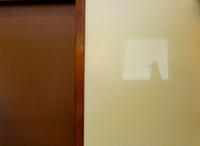 臨時休業いたします。 2012/01/27 23:39:48